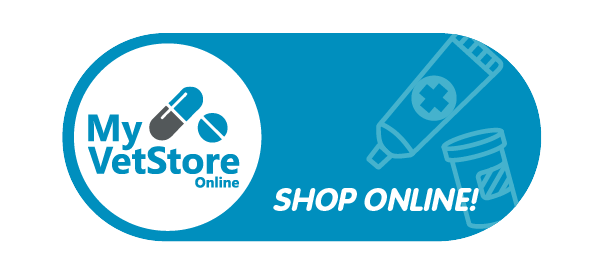 Shop Online Button